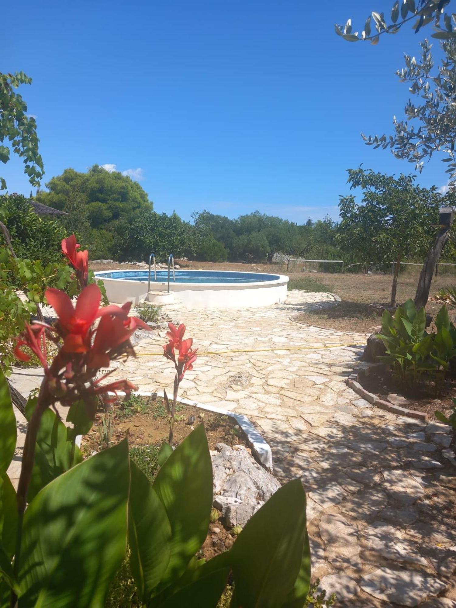 Hvar Mediterranean Ranch House