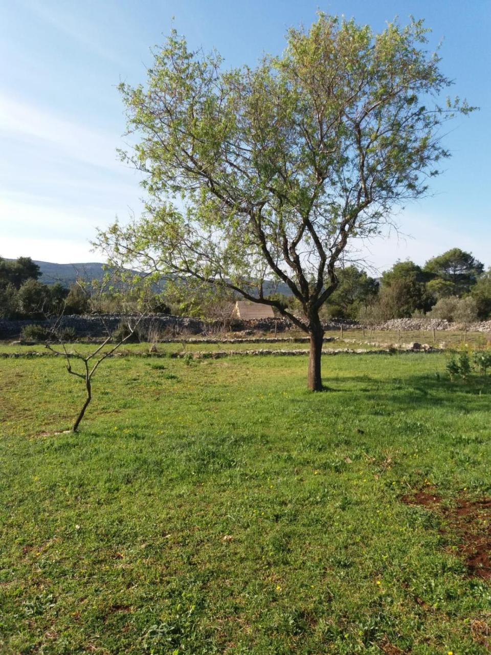 Hvar Mediterranean Ranch House